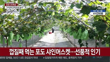 코로나19 속 고품질 농축산물 추석 선물용으로 인기