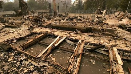 Incêndios podem durar semanas