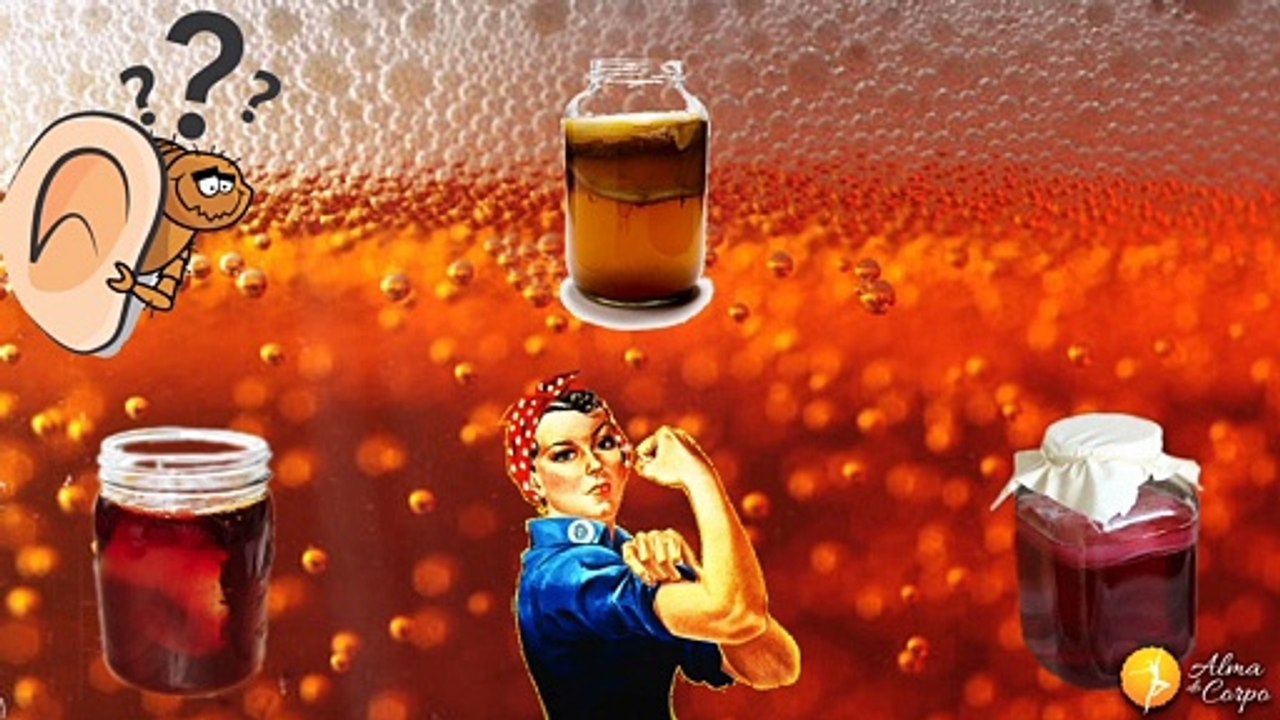 Tuuudo sobre kombucha de café: o que é, (contra)indicações, como fazer, onde encontrar