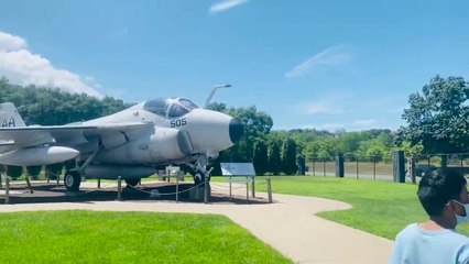 Berry picking farm & Lavender