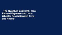The Quantum Labyrinth: How Richard Feynman and John Wheeler Revolutionized Time and Reality  For