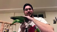 Parrot Wizard 2018 Contest Winners