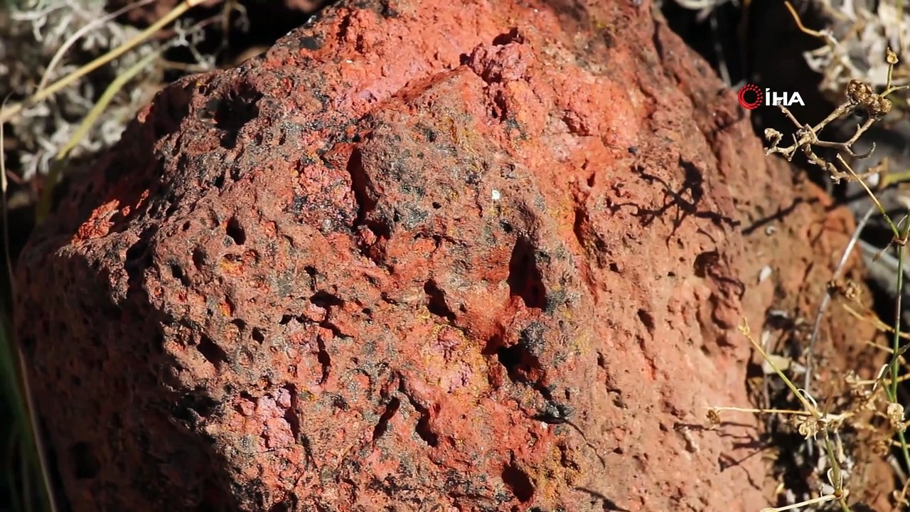 Bu Koyun Tasi Topragi Altin Dailymotion Video