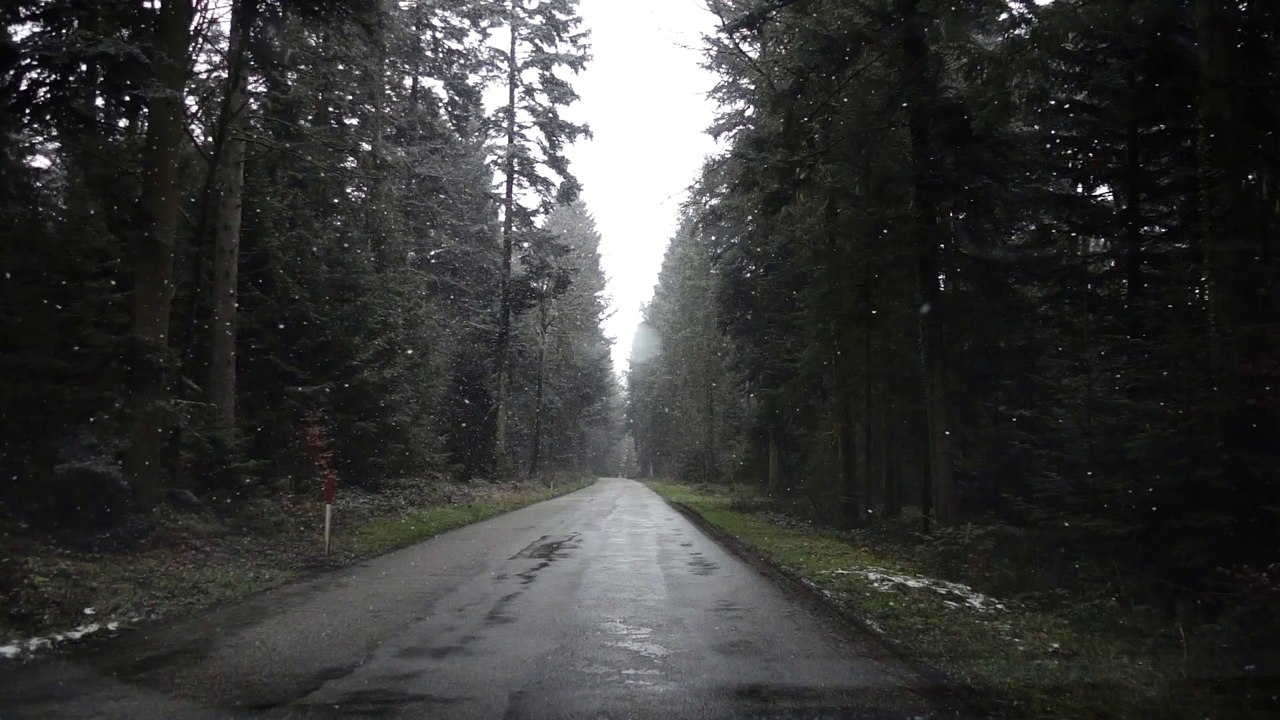 Snow Slowly Falling Down