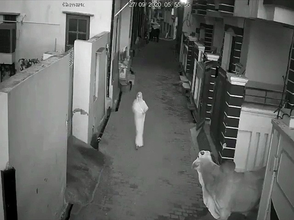 सांड ने मारी दादी को टक्कर, पोते ने बचाई जान, सोशल मीडिया पर जमकर हो रही है तारीफ
