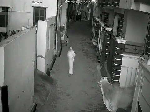 सांड ने मारी दादी को टक्कर, पोते ने बचाई जान, सोशल मीडिया पर जमकर हो रही है तारीफ