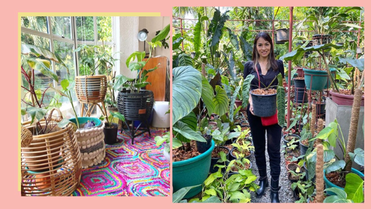 Aubrey Miles Will Inspire You to Become a 'Plantita' In Your 30s