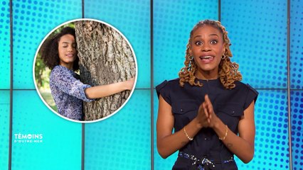 Bien-Être : Le Tree Hugging