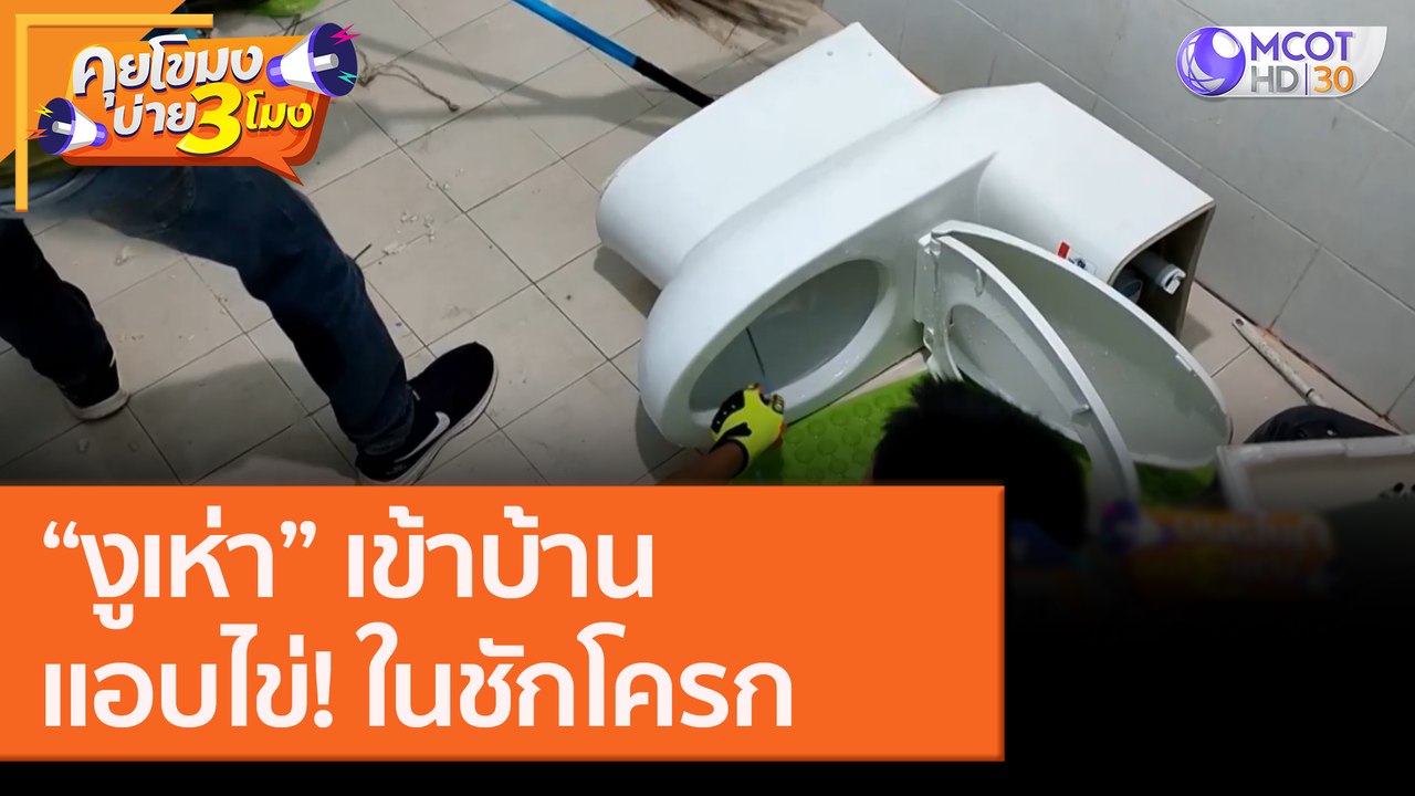 "งูเห่า" เข้าบ้าน แอบไข่! ไว้ในชักโครก [30 ก.ย.63] คุยโขมงบ่าย 3 โมง | 9 MCOT HD
