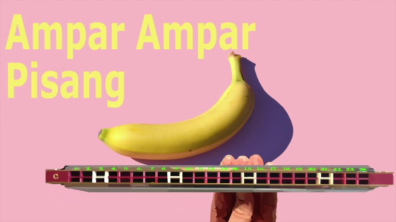 How to Play Ampar Ampar Pisang on a Tremolo Harmonica with 24 Holes