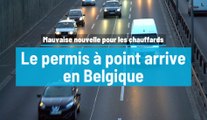 Le permis à points arrive en Belgique !