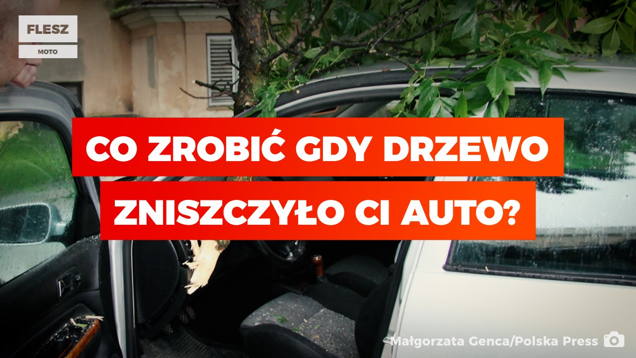 Co zrobić, gdy drzewo zniszczyło Ci auto?