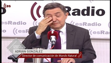 Mundo Natural: Los problemas de cansancio por el cambio de tiempo