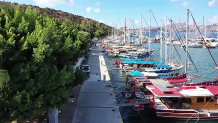 Bodrum'da dalgıçlar denizin dibini temizledi - MUĞLA