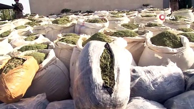 Diyarbakır’da son 9 ayda 97 milyon kök kenevir ve 42 ton esrar ele geçirildi