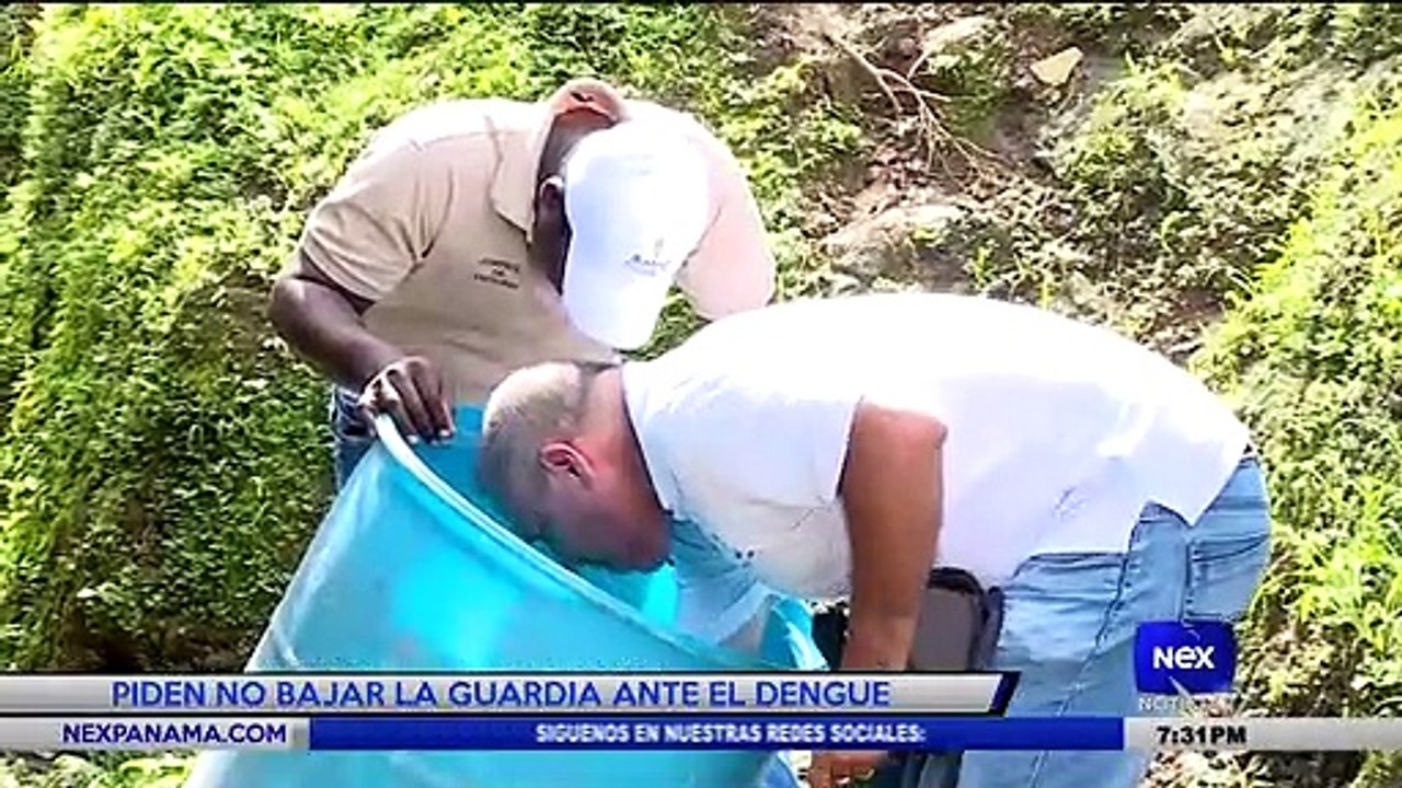Piden no bajar la guardia ante el dengue - Nex Noticias