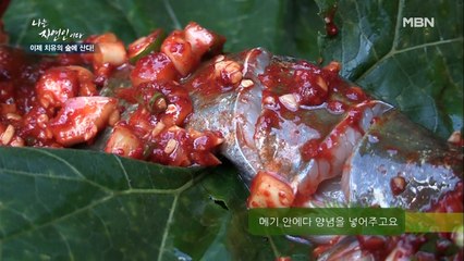 [자연밥상] 메기 품은 호박잎?! 매콤짭짤 메기찜♨