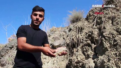 Bu köyün taşı, toprağı altın! "Gurbetteki gençlerimiz geri dönsün"