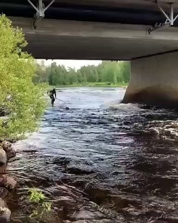 Stand up paddle avec un tronc d'arbre