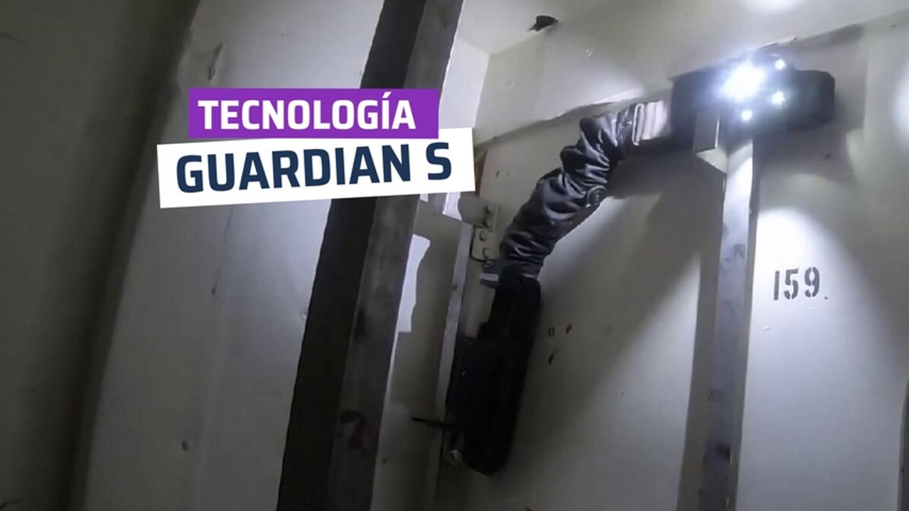 [CH] El robot serpiente que escala paredes