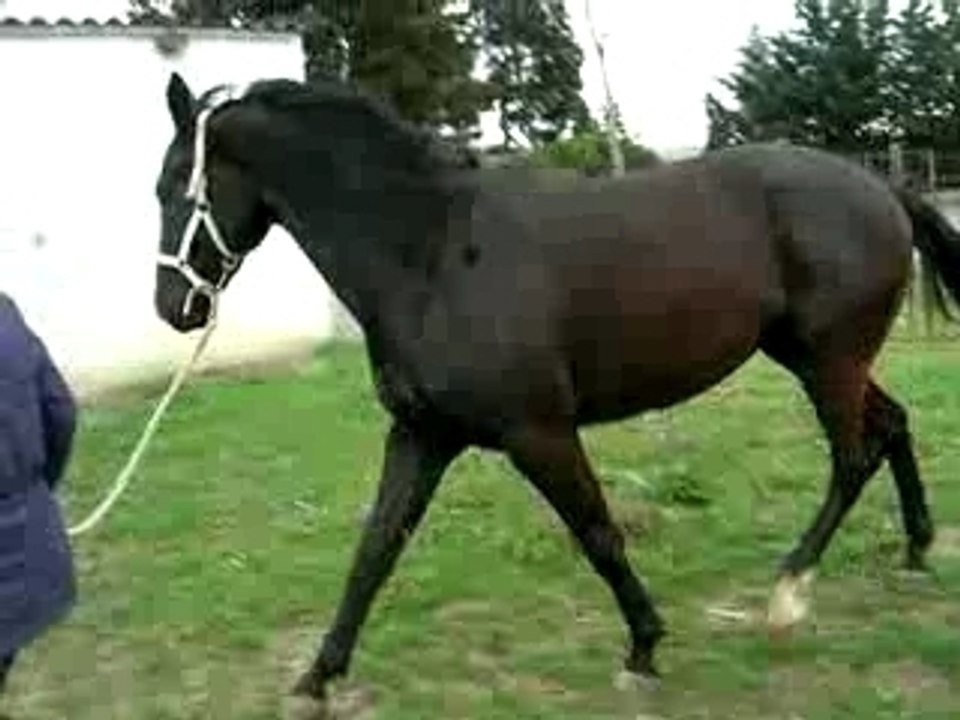 DSCN7612