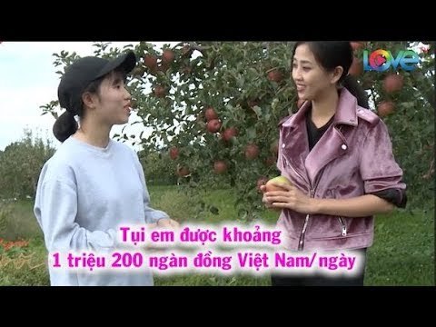 Mỗi tháng GỬI VỀ NHÀ gần 20 TRIỆU, cô gái với NGHỊ LỰC PHI THƯỜNG vượt lên nghịch cảnh Ở XỨ NGƯỜI