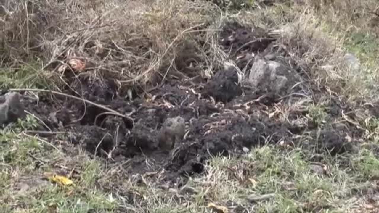 Halladas ocho fosas con restos de unas cien personas en Irapuato (México)