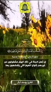 حالات واتس اب قران كريم ❣القارئ يوسف ابكر حالات واتس اب دينية❣تلاوة مؤثرة(360P)_1