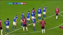 SCOTT MCTOMINAY GOAL Brighton 0-1 Man.Utnited (Full Replay)