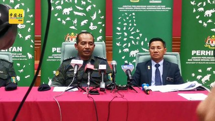 捣3走私活动扣3人 救出2000只稀有鸟类