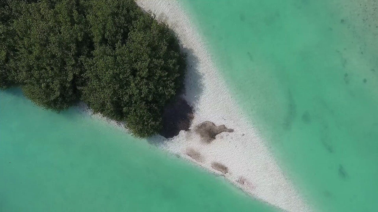 Beach Island Tropical Aerial shot over a sandy coastline natural beautiful royalty Free Stock no copyright video Free for commercial use dron dron aerial view (2)