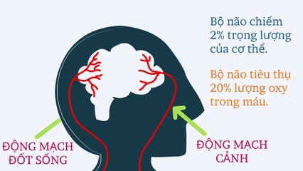 Đột quỵ diễn ra như thế nào?