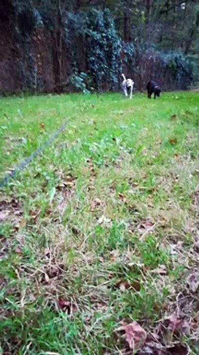 VID_20200930_190413