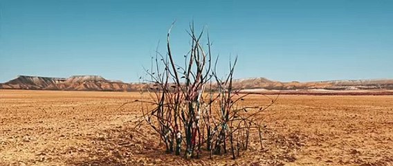 Dantza (2019) - Bande annonce