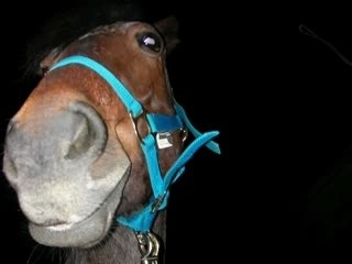 Pour ma grosse et son gros