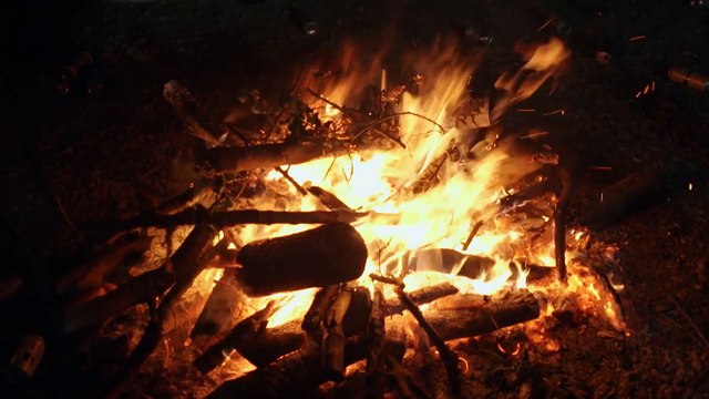 Dedalus Movie - Alexander Horner, Thomas Jay Ryan, Ashley Robicheaux