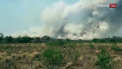 Más de 600 hectáreas y animales muertos por un incendio en El Tacuruzal