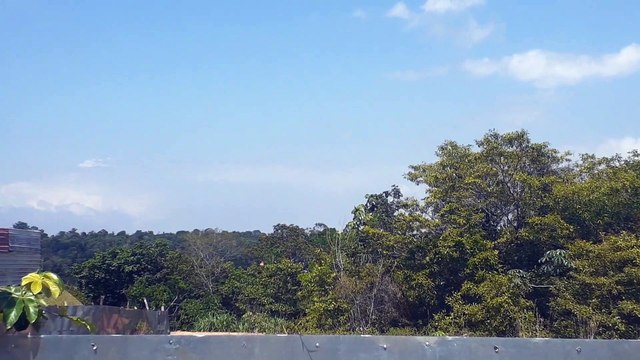 [SBEG Spotting]Airbus A321 PT-MXI na final antes de pousar em Manaus vindo de Brasília(30/09/2020)