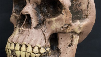 It's All Relative? People With Neanderthal DNA Have Worse Experiences With COVID-19