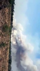 Fuerte incendio en El Tacuruzal afectó alrededor de 600 hectáreas