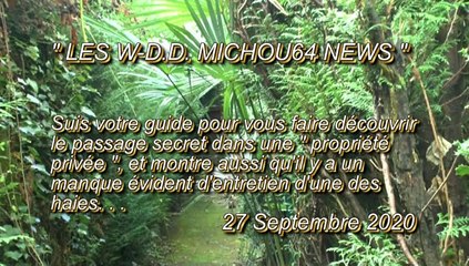 LES W-D.D. MICHOU64 NEWS - 27 SEPTEMBRE 2020 - PAU - LE PASSAGE SECRET DANS UNE RÉSIDENCE PRIVÉE
