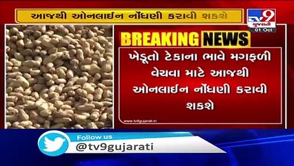 Registration for MSP procurement of groundnuts to begin from today