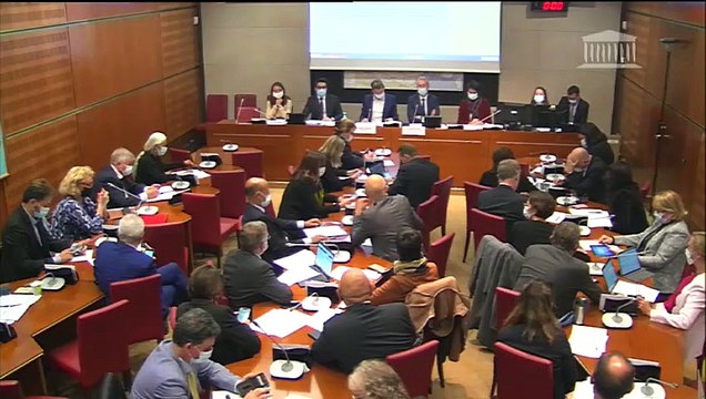 Commission du développement durable : Faire de la publicité un levier au service de la transition écologique et de la sobriété et pour réduire les incitations à la surconsommation - Mercredi 30 septembre 2020