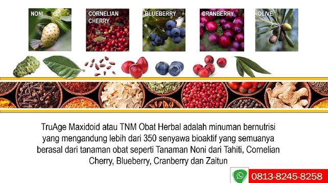 TNM Obat Herbal WA 0819 1000 3012 (XL), TNM Untuk Autis