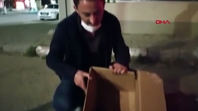 Yavru köpekleri çuvala koyup sokağa attılar