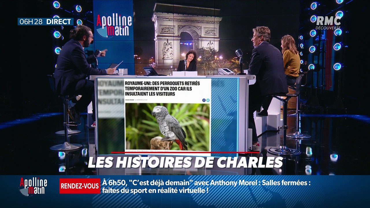 « Les 3 histoires de Charles Magnien » : Des perroquets retirés d'un zoo à cause de leurs insultes et ce que les hommes attendent d'un premier rencard - 01/10