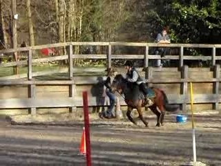 PG deOPHé kitus et moi à basket