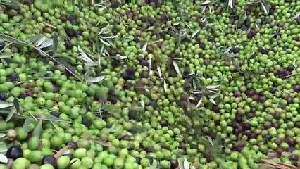 ‘Yo compro en Marchena’, en busca de dar un nuevo paso de ayuda al comercio local