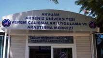 Tüberkülozun erken teşhisinde önemli buluş