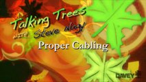 Tree Cabling_ How to Protect Your Trees